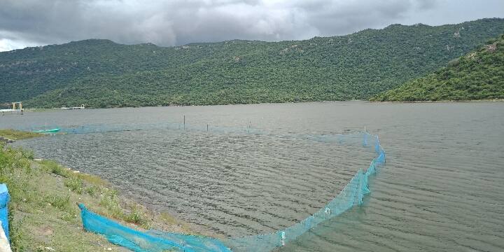 Continued rains in Yercaud hills - Farmers happy as Vaniyaru dam fills up ஏற்காடு மலைப்பகுதியில் தொடர் மழை - வாணியாறு அணை நிரம்புவதால் விவசாயிகள் மகிழ்ச்சி