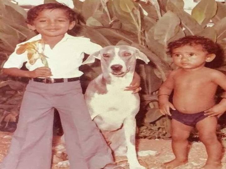 Country Breed Dogs; Lesser Known Facts about Ramanathapuram Mandai Dog, Vettai Thunaivan, Know in Detail ’சிப்பிப்பாறை நாய்கள் தெரியும்’ ராமநாதபுரம் மண்டை நாய்கள் பற்றி தெரியுமா..?