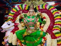 திருவண்ணாமலை அருணாச்சலேஸ்வரர் நவராத்திரி உற்சவம் ஐந்தாம் நாள்!