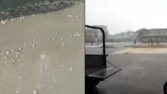 ગીર સોમનાથઃ ખુલ્લામાં પાથરેલો મગફળીનો પાક વરસાદથી પલળ્યો, ખેડૂતોની મહેનત પર ફરી વળ્યું પાણી