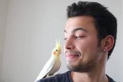 కిందున్న పిచుకలు ఎంత ముద్దుగా ఉన్నాయో చుడండి