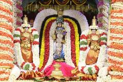 Tirumala Brahmotsavam Photos: సర్వ భూపాల వాహనంపై దర్శనమిచ్చిన శ్రీవారు