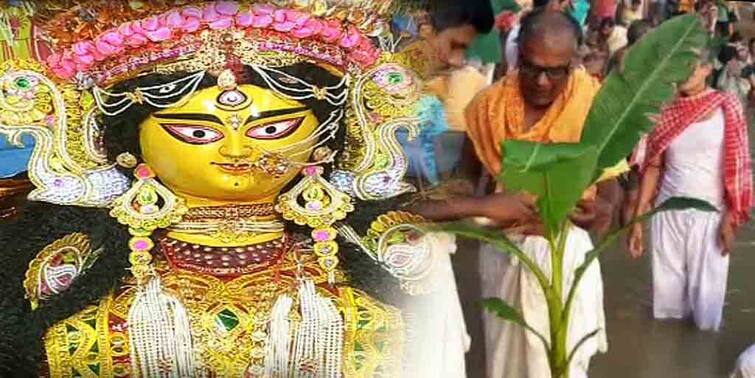 Durga Puja 2021 Maha Saptami Know the Significance of Naba Patrika Maha Saptami : ৯টি ওষধি বৃক্ষকে দেবীজ্ঞানে চলে আরাধনা, কী ভাবনা নবপত্রিকা আরাধনার পিছনে ?
