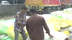 ભાવનગરઃ તળાજા માર્કેટિંગ યાર્ડમાં કપાસની આવક શરૂ, દરરોજ સરેરાશ કેટલી થાય છે આવક?