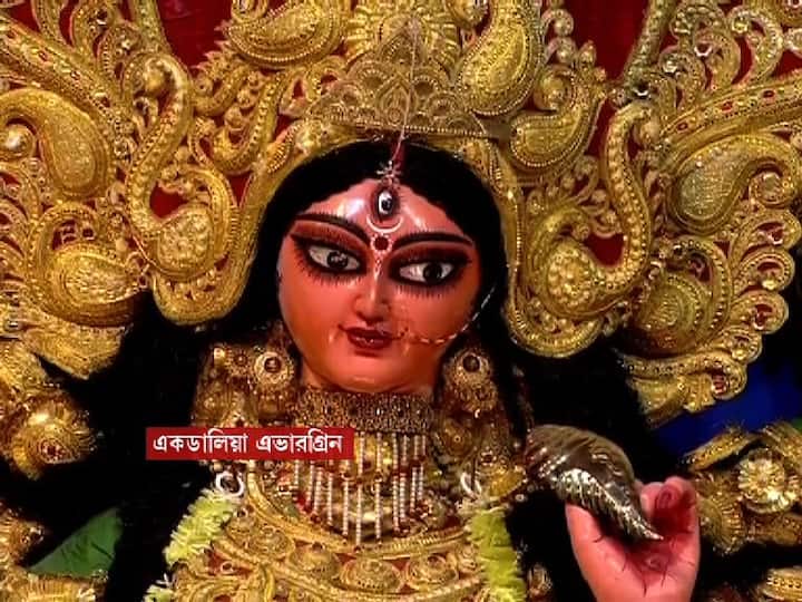 সাবেকি পুজোর আয়োজনে একডালিয়া চিরদিনই এভারগ্রিন। থিমের আড়ম্বর থেকে আলোকবর্ষ দূরে। ঐতিহ্য আর সাবেকিয়ানার মেলবন্ধনে এই পুজো বরাবরই দক্ষিণ কলকাতার প্রাণের পুজো। সাবেকি আদলের প্রতিমা। সেই ঝাড়বাতি।  এবিপি আনন্দরর ‘সেরা পাড়ার পুজো’ হিসেবে শারদ আনন্দ সম্মান পেল ৭৯ বছরের এই পুজো।