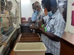 திண்டுக்கல் மாவட்டத்தில் அமோக வெற்றி பெற்ற திமுக வேட்பாளர்கள்!