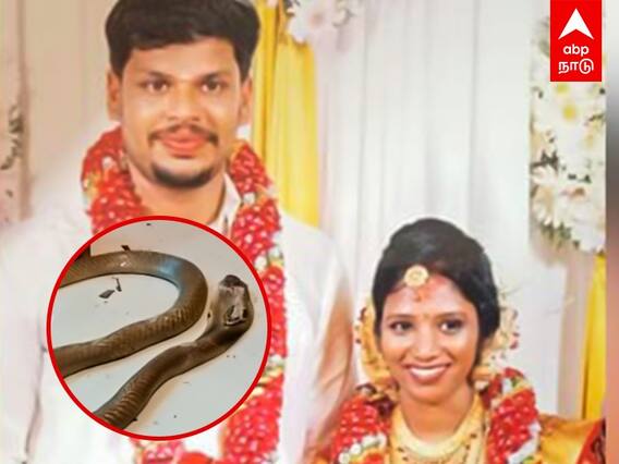 Kerala Snake Bite Case: விஷ பாம்பை விட்டு மனைவியை கொன்ற கொடூர கணவன்! நீதிமன்றம் அதிரடி