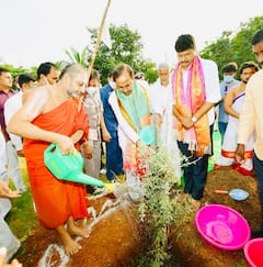 కేసీఆర్ గ్రీన్ ఛాలెంజ్.. జమ్మి మొక్కను నాటిన ముఖ్యమంత్రి