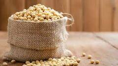 10 ਚੀਜ਼ਾਂ ਜੋ ਤੁਹਾਨੂੰ ਕਰ ਦੇਣਗੀਆਂ ਕੁਝ ਦਿਨਾਂ 'ਚ ਹੀ ਫਿੱਟ, ਜਾਣੋ ਗੁਣ ਤੇ ਫਾਇਦੇ