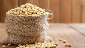 ਸੋਇਆਬੀਨ (Soyabean)- ਨਾਸ਼ਤੇ ਵਿੱਚ ਸੋਇਆਬੀਨ ਅਤੇ ਪੁੰਗਰੇ ਹੋਏ ਅਨਾਜ ਨੂੰ ਖਾਣ ਨਾਲ ਵੀ ਭਾਰ ਵਧਦਾ ਹੈ। ਸੋਇਆਬੀਨ ਪ੍ਰੋਟੀਨ ਨਾਲ ਭਰਪੂਰ ਹੁੰਦਾ ਹੈ, ਜਿਸ ਕਾਰਨ ਸਰੀਰ ਮਜ਼ਬੂਤ ਹੁੰਦਾ ਹੈ ਤੇ ਭਾਰ ਵੀ ਵਧਦਾ ਹੈ।