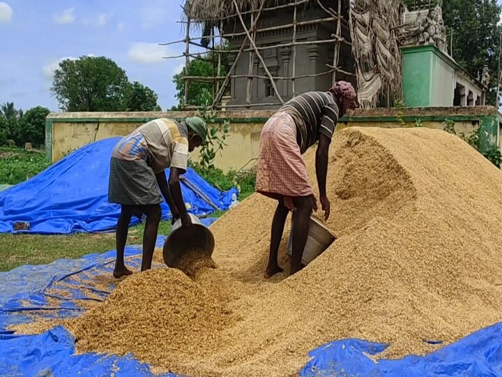 திருவாரூரில் சுமார் 10,000 நெல் மூட்டைகள் தேக்கம் - உடனடியாக அறுவடை செய்ய விவசாயிகள் கோரிக்கை