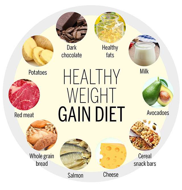 Healthy Food Diet For Weight Gain