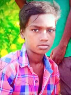 தஞ்சாவூர்: பட்டுக்கோட்டையில் நாவல் பழம் பறிக்க சென்ற 2 சிறுவர்கள் ஏரியில் மூழ்கி பலி