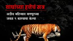 Nagpur : विदर्भ वाघांचं नंदनवन की शिकाऱ्यांचं? मांत्रिकांचा डाव, वाघांवर घाव Special Report