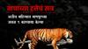 Nagpur : विदर्भ वाघांचं नंदनवन की शिकाऱ्यांचं? मांत्रिकांचा डाव, वाघांवर घाव Special Report