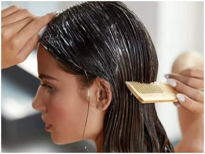 Hair Care Tips, These Natural Hair Masks will make Damaged Hair Strong and Shiny Hair Care Tips: डैमेज बालों को मजबूत और चमकदार बनाएंगे ये Natural Hair Masks, जानें बनाने का तरीका
