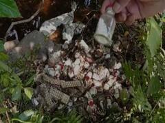 Bihar News: झाड़ियों में फेंकी हुई मिलीं लाखों की जीवन रक्षक दवाइयां, वीडियो VIRAL होने पर मचा हड़कंप