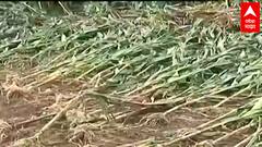 Maharashtra Flood : अतिवृष्टी आणि पूरग्रस्तांसाठी 10 हजार कोटींच्या मदतीची ABP Majha