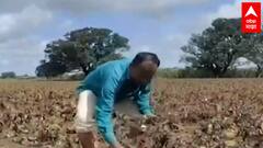 TOP 50 : रात्रीच्या 50 बातम्यांचा वेगवान आढावा : बातम्यांचं अर्धशतक : 13 ऑक्टोबर 2021 : ABP Majha