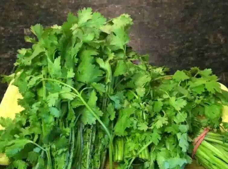 kitchen hacks keep green coriander fresh without fridge Kitchen Hacks : फ्रिजशिवाय कोथिंबीर ठेवा फ्रेश; 'हा' उपाय करेल मदत!