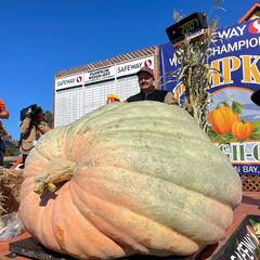 Pumpkin Fest: సేఫ్ వే ప్రపంచ ఛాంపియన్‌షిప్.. 994 కిలోల గుమ్మడికాయకి ఫస్ట్ ప్రైజ్