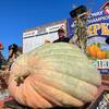 Pumpkin Fest: సేఫ్ వే ప్రపంచ ఛాంపియన్‌షిప్.. 994 కిలోల గుమ్మడికాయకి ఫస్ట్ ప్రైజ్