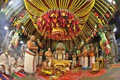 Tirumala Brahmotsavaalu: తిరుమలలో వైభవంగా స్నపన తిరుమంజన సేవ