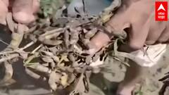 TOP 50 : आत्तापर्यंतच्या 50 बातम्यांचा वेगवान आढावा : बातम्यांचं अर्धशतक : 13 ऑक्टोबर 2021 : ABP Majha