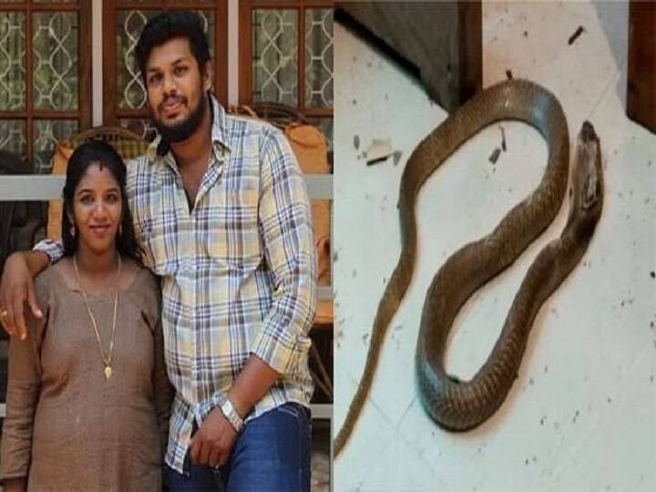 Kerala: Husband got life imprisonment for killing his wife by biting her with cobra, not hanging because of this केरल: पत्नी की कोबरा से डसवा कर हत्या करने वाले पति को मिली उम्रकैद, इस वजह से नहीं हुई फांसी