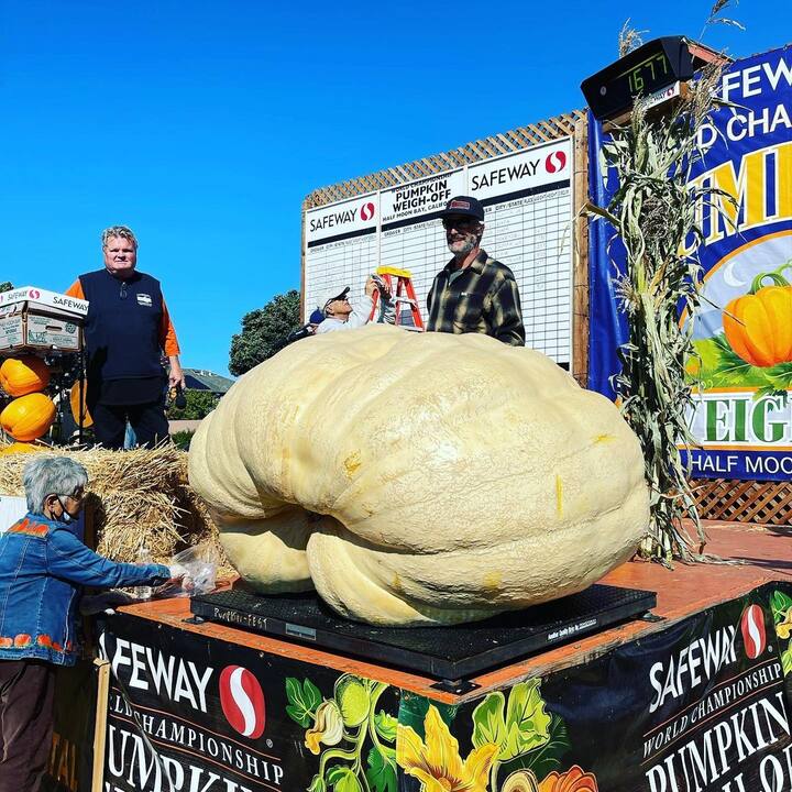 పోటీల్లో పాల్గొన్న ఔత్సాహికులు (Photo Credit/hmbpumpkinfest Instagram)