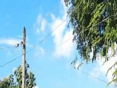 उत्तर प्रदेश को रौशन करने वाले सोनभद्र में छाया अंधेरा, कई गांव में अबतक नहीं पहुंची बिजली, जानें वजह