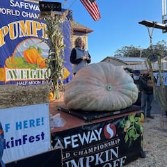 Pumpkin Fest: సేఫ్ వే ప్రపంచ ఛాంపియన్‌షిప్.. 994 కిలోల గుమ్మడికాయకి ఫస్ట్ ప్రైజ్