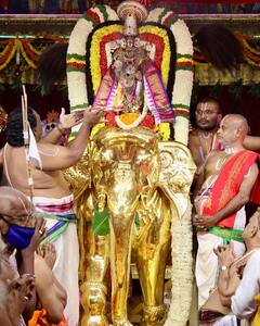 திருப்பதி பிரமோற்சவம் - கஜ வாகனத்தில் பக்தர்களுக்கு அருள்பாலித்த மலையப்ப சுவாமி