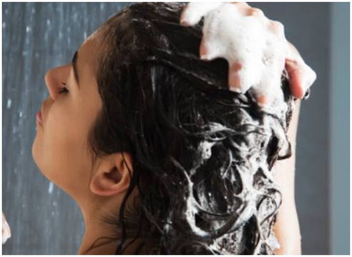 Hair Care Tips, Use Homemade Shampoo to Avoid Baldness And How to Make Homemade Shampoo Hair Care Tips:  गंजेपन से बचने के लिए Homemade Shampoo का करें इस्तेमाल, जानें बनाने का तरीका