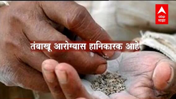 Tobacco : तंबाखूला 12 हजार वर्षांपूर्वीचा इतिहास; अमेरिकेत सापडले पुरावे