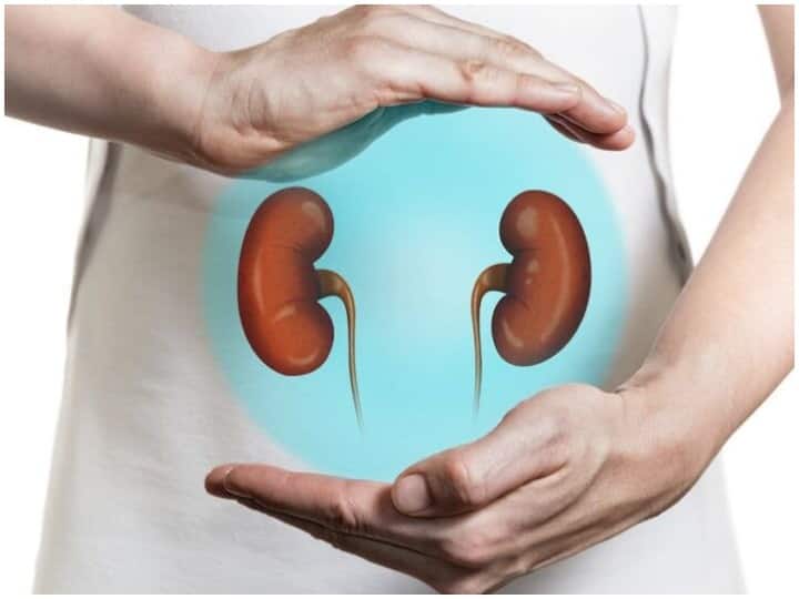 Kidney Health Tips : किडनी को रखना है हेल्दी तो नुकसानदेह आदतों को कहें गुड बाय