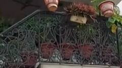 Lakhimpur Kand में इस वक्त की बड़ी खबर, Ankit Das के घर पर पुलिस ने भेजा नोटिस