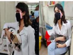 Samantha Ruth Prabhu | பிரிவுக்குப் பின் முதல் அவுட்டிங்.. செல்ல நாய்க்குட்டிகளுடன் சமந்தா!