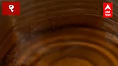 Edible Oil : केंद्राकडून खाद्यतेलांच्या साठेबाजीवर मर्यादा, किंमती नियंत्रणात आणण्यासाठी निर्णय