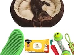 Amazon Festival Sale: ১৫০ টাকায় পোষ্যের জিনিস, অ্যামাজনের বাম্বার সেল