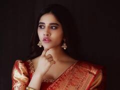 Nabha Natesh Photos: దసరా అందమంతా నభా చీరకట్టులోనే... చూస్తే వావ్ అనాల్సిందే