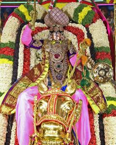 திருப்பதி பிரம்மோற்சவம் -  விஸ்வ (குதிரை) வாகனத்தில் பக்தர்களுக்கு அருள்பாலித்த மலையப்ப சுவாமி
