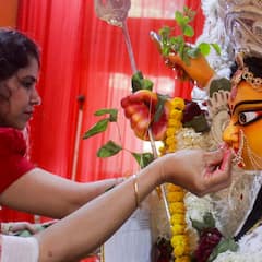 Durga Puja 2021 : উচ্ছ্বাসে মিশেছে বিষণ্ণতা, দেশজুড়ে দেবী-বরণ ; সিঁদুর খেলার টুকরো টুকরো ছবি