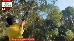 Vijaya Dashami 2021: বিদায়বেলায় বন্দুক দেগে দেবীকে সম্মান, জলপাইগুড়ির বৈকুণ্ঠপুরে রথে চেপে প্রতিমা নিরঞ্জন। Bangla News