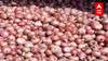 Nashik Onion : नाशिक जिल्ह्यात दसऱ्याच्या मुहूर्तावर लाल कांद्याचा लिलाव