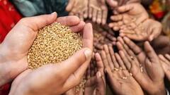 Global Hunger Index: বিশ্ব ক্ষুধা সূচকে আরও পিছিয়ে ১১৬টি দেশের মধ্যে ১০১ নম্বরে ভারত | Bangla News