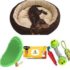 Amazon Sale: सिर्फ 150 रुपये में खरीदें अपने डॉग और कैट की जरूरत के सामान, बहुत कम दामों पर मिल रहा है Pets का सारा सामान