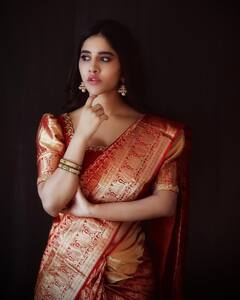 Nabha Natesh Photos: దసరా అందమంతా నభా చీరకట్టులోనే... చూస్తే వావ్ అనాల్సిందే