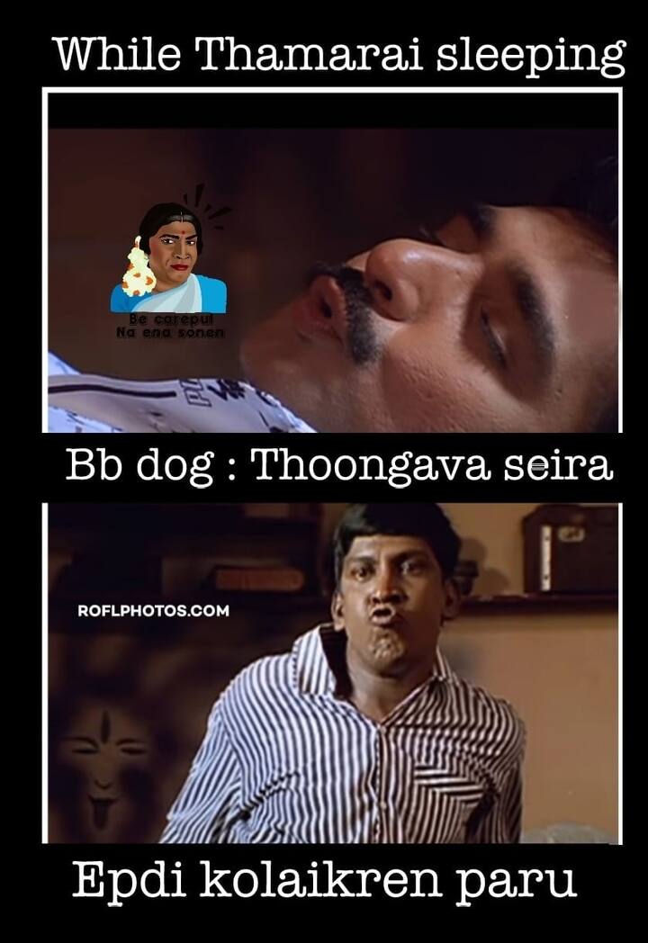 தூங்கவா செய்யுற?! இரு...