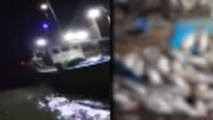 ગીર સોમનાથઃ ઊના તાલુકાનો એક માછીમાર રાતો રાત બન્યો કરોડપતિ, શું છે કારણ?